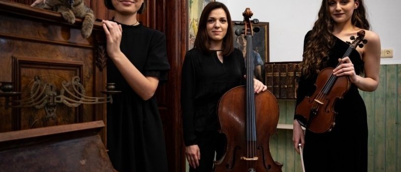 Recital cameral. Trio
