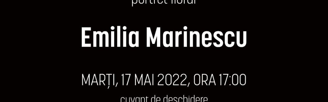 Afis Expozitie Noir 22 - ONB
