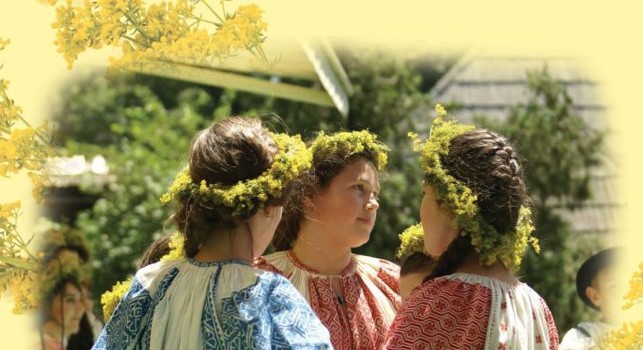 Afis_Sanziene_50x70_v2-scaled-e1654782230623