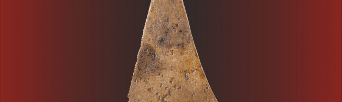 Epoca Bronzului