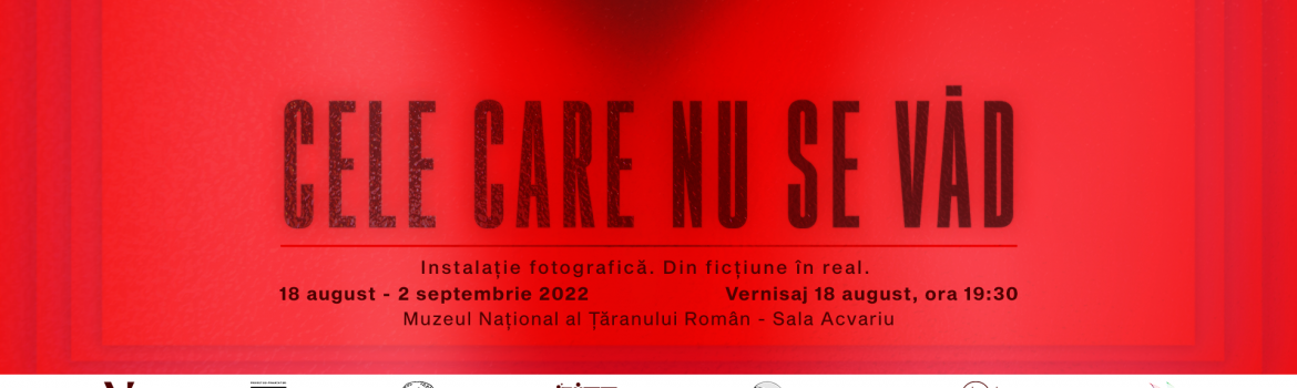 Cele care nu se văd - Vanner Collective_1