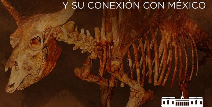 Expo Mexic