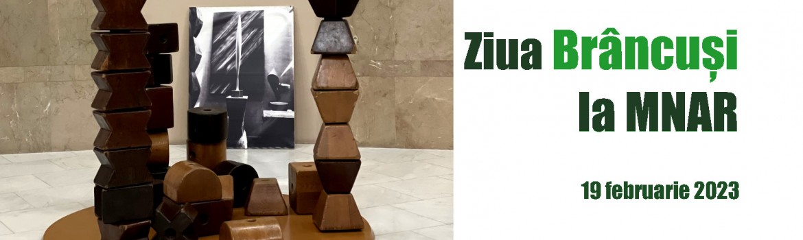 Brancusi vizual