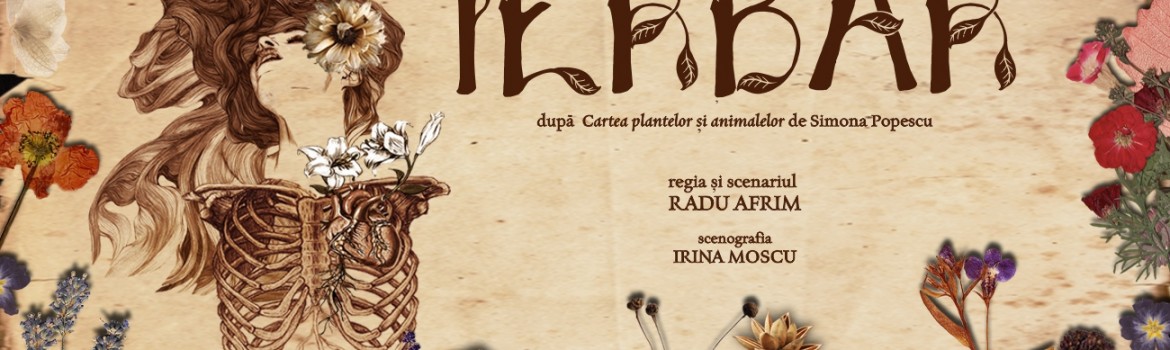 Cover Ierbar (2)