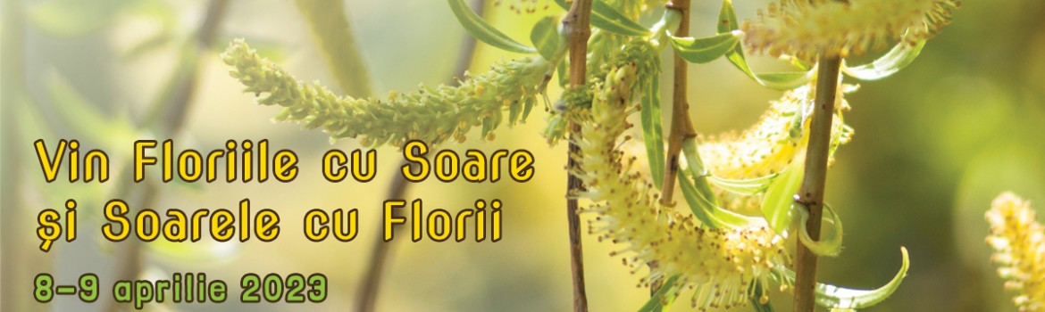 Vin Floriile cu soare si soarele cu Florii