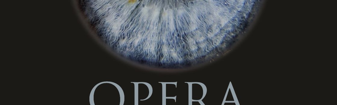 Noaptea Muzeelor_Opera Națională Bucuresti