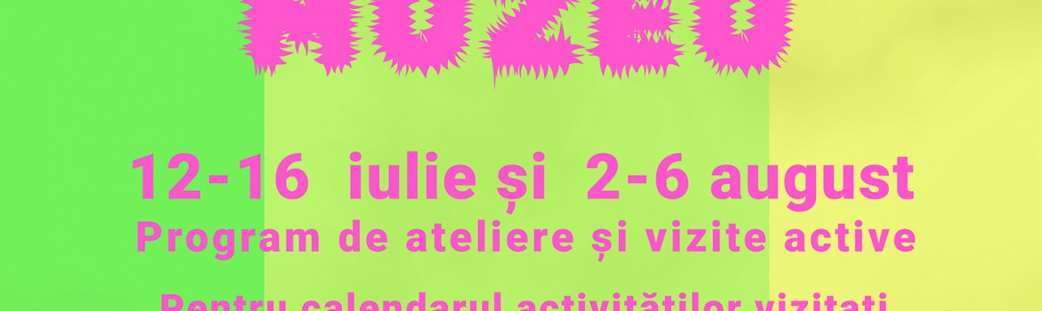 Vacanta la muzeu Vizual