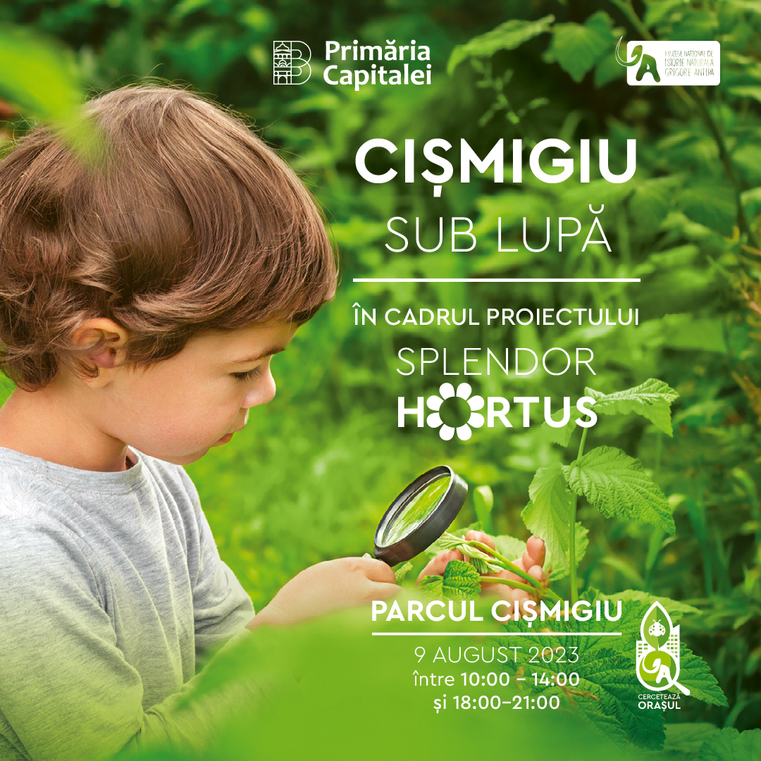Cismigiu sub lupa