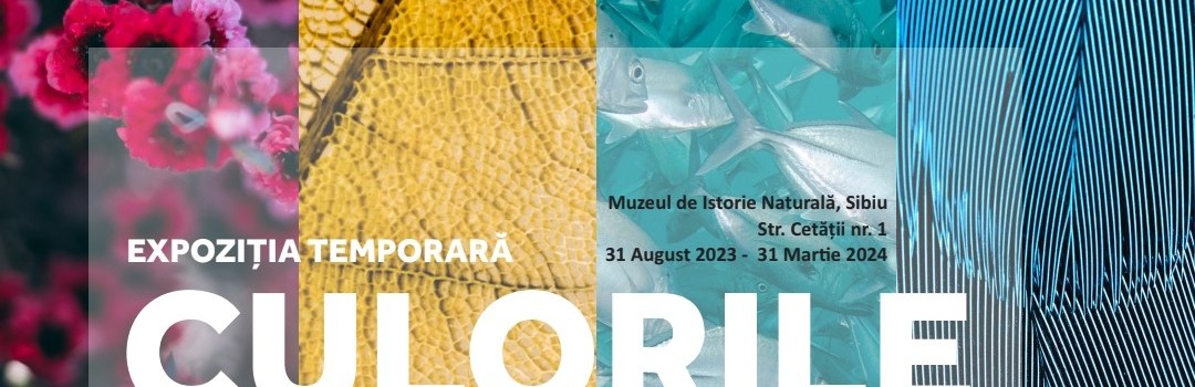 thumbnail_Afis expozitia culorile naturii_230829_122138
