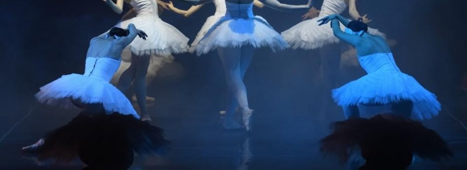 „Lacul Lebedelor”