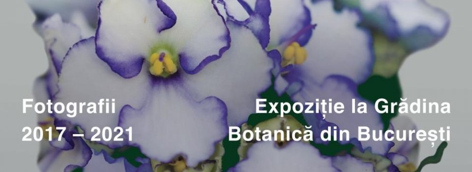 Grădina fermecată
