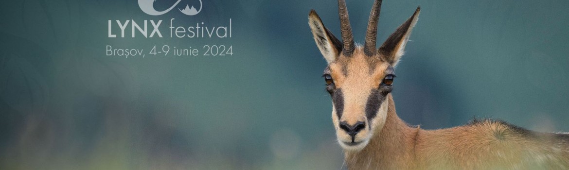 LYNX Festival