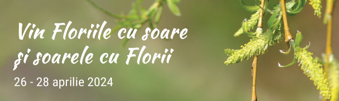 Vin Floriile cu soare şi soarele cu Florii
