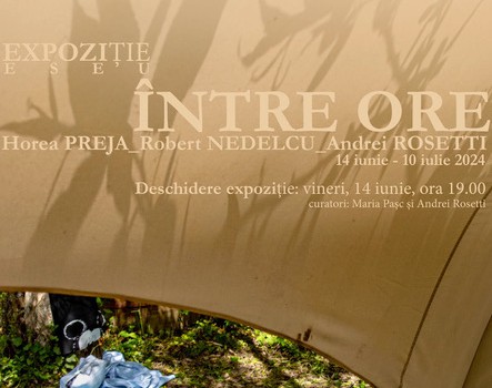 expozitie_intre_ore_pt_maria_pasc_andrei_rosetti