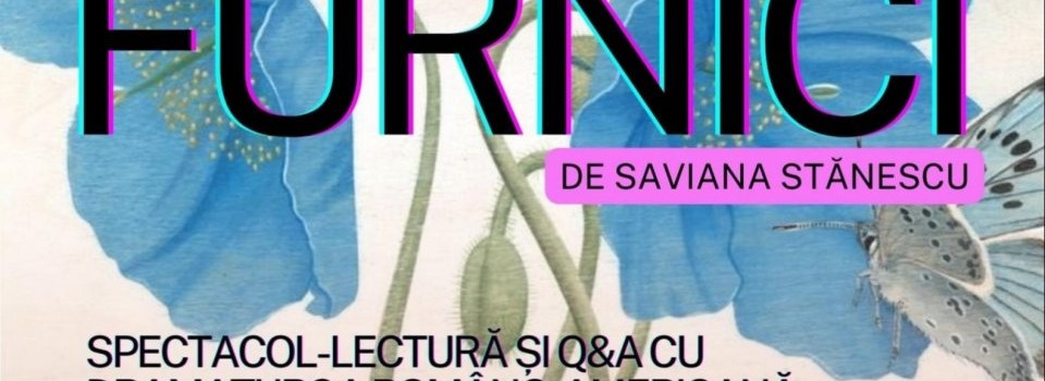 Furnici de Saviana Stănescu