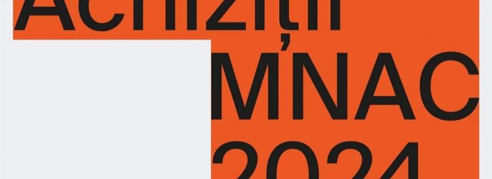 43 de lucrări intră anul acesta în colecția Muzeului Național de Artă Contemporană