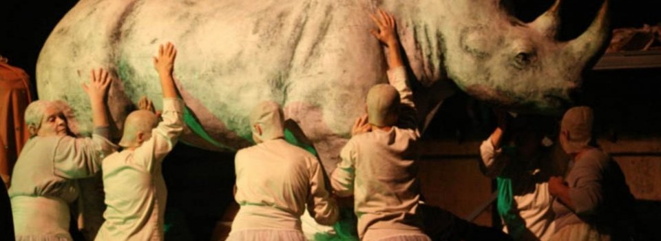 Rinocerul din „Faust” coboară în stradă