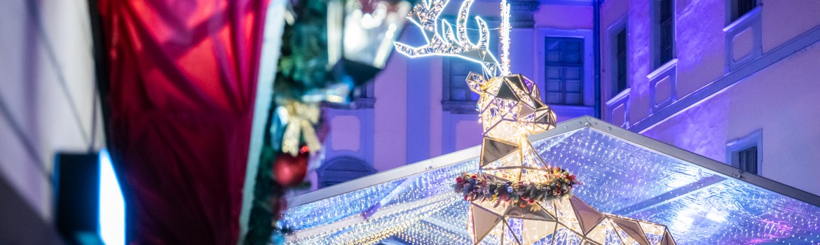 Christmas at the Palace