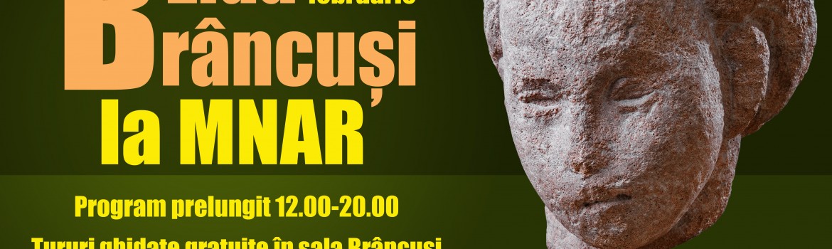 vizual Ziua Brâncuși la MNAR-19 februarie