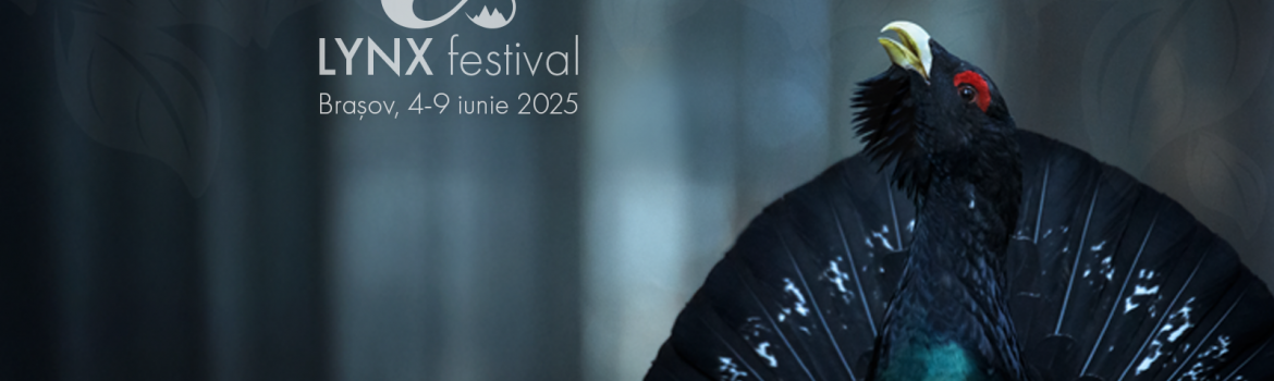 LYNX Festival
