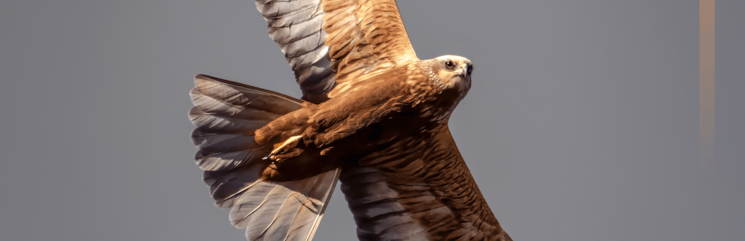 #2Albania – File din natură