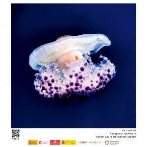 Fotciencia