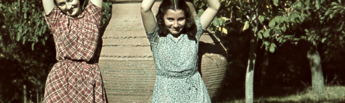 Fenomenul Agfacolor în România