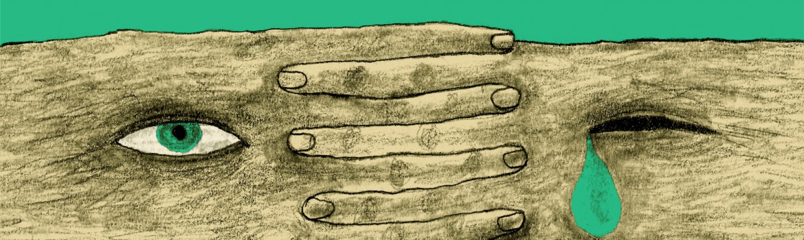 Festivalul Filmului Românesc din Seattle