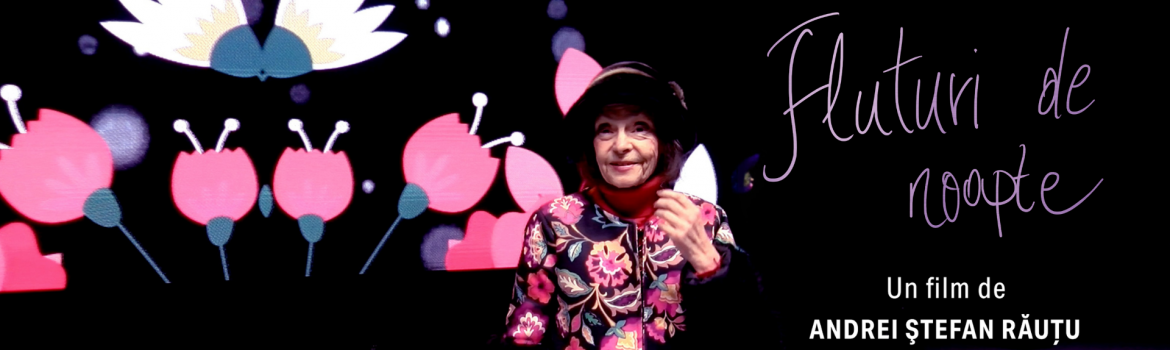 Afis Fluturi de noapte landscape