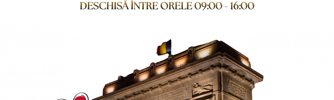 Vizual Ziua Constituției