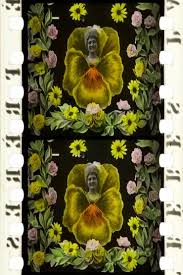 Cei mai frumoși ani ai cinematografului