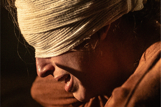 Gaviota_Stagiunea Internationala de teatru 2026.