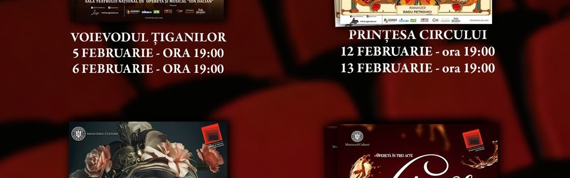 Teatrul Național de Operetă și Musical