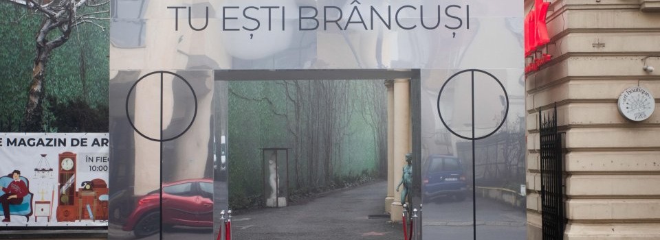 Tu ești Brâncuși