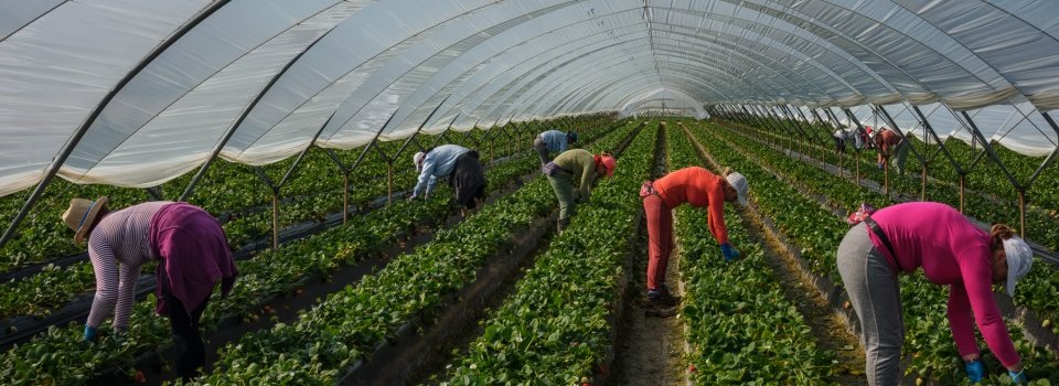 Expoziția de fotografie documentară „Plecat”