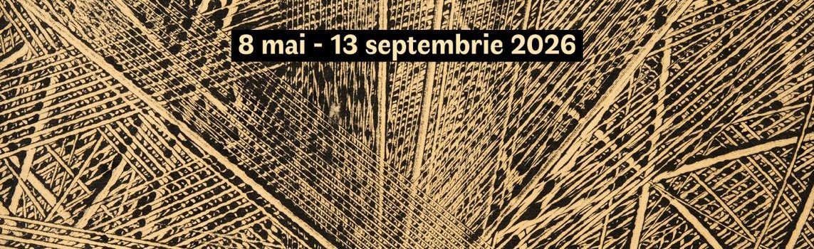 Deschiderea expoziției Cotoșman