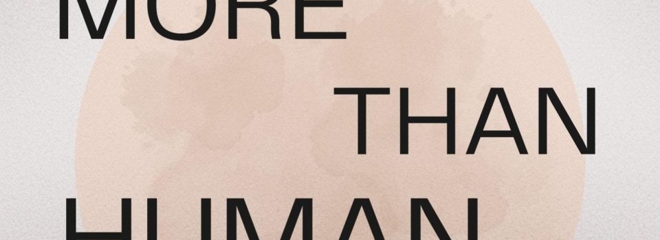 More than human