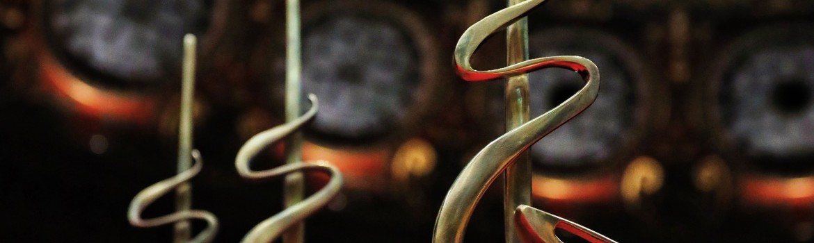 trofeu concursul enescu