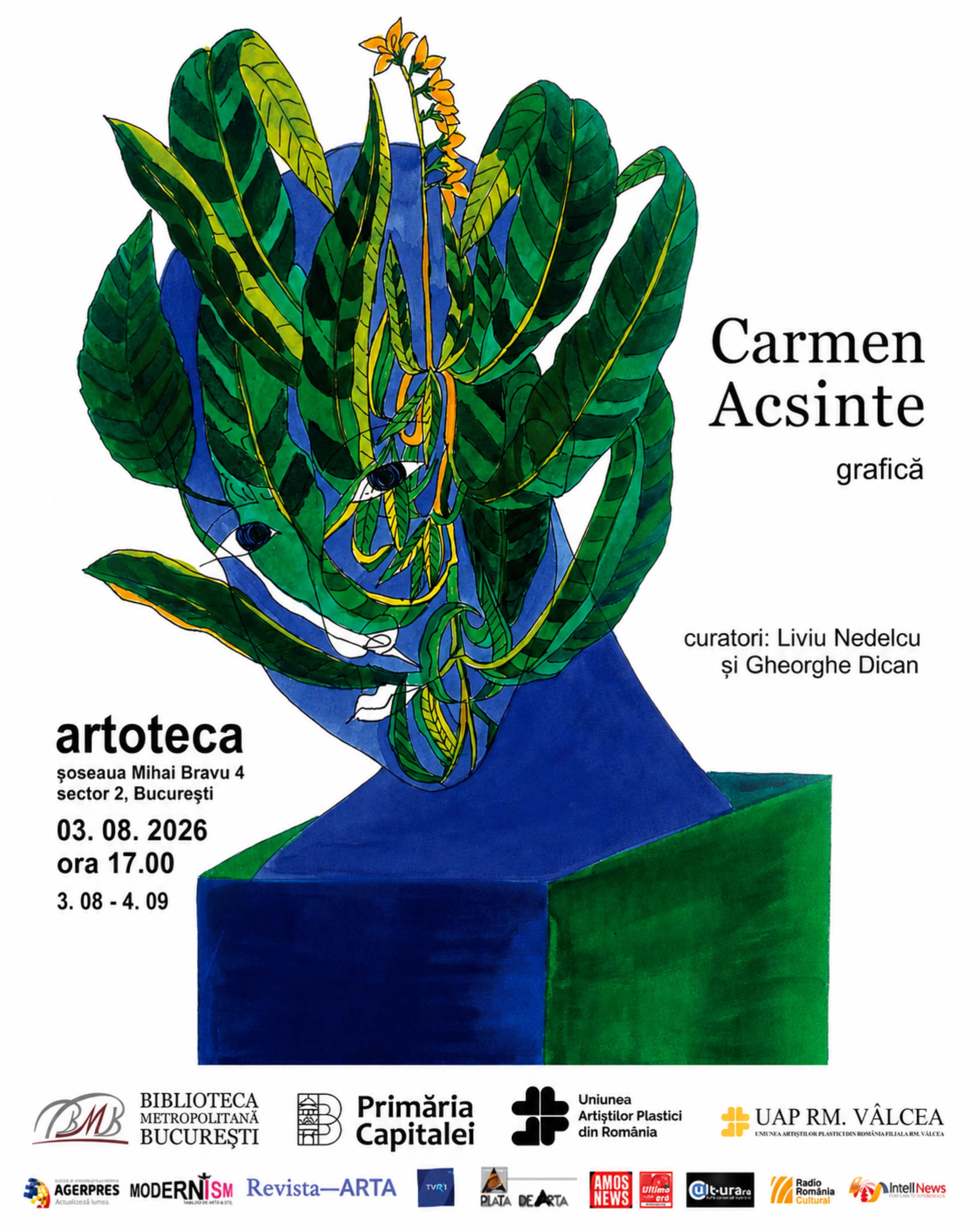Carmen Acsinte Grafica